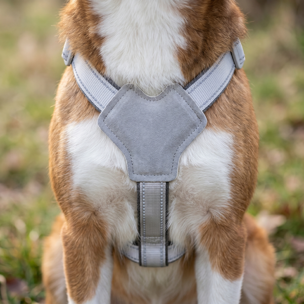 The Y-frame frees the shoulders